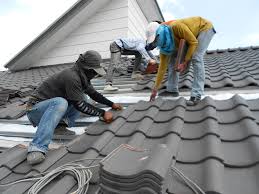 Best Roof Coating and Sealing  in Hinckley, IL